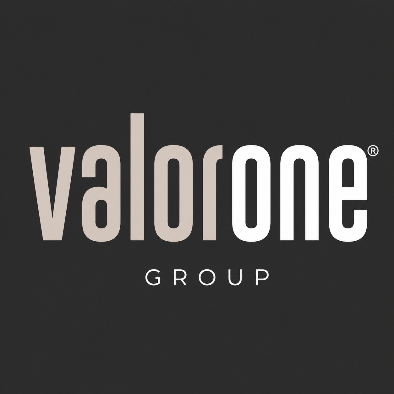 Valor One Group Logo